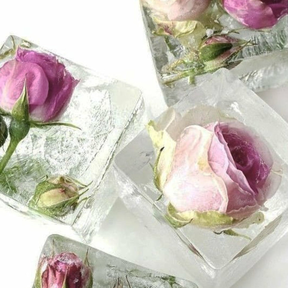 Summer flower treats - Scent Floral Boutique NZ