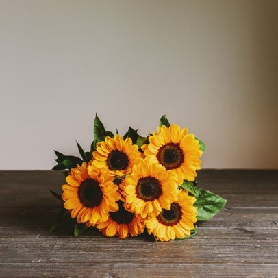 Summer Sunshine Sunflowers - Scent Floral Boutique NZ